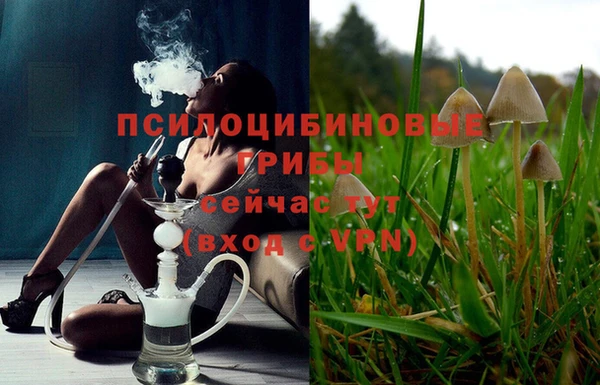 mdpv Заречный